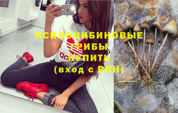 spice Верхний Тагил