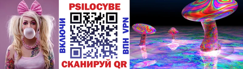 Галлюциногенные грибы Psilocybe Купить где Гаджиево