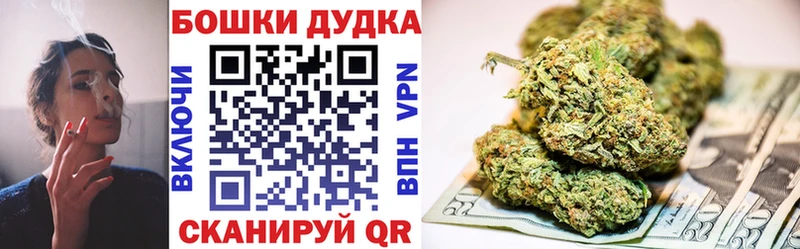 Купить Гаджиево Канабис Ganja